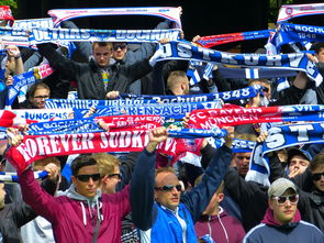 AYX SPORTS-斯诺克史上最硬核的解球，没有之一，全场球迷看的目瞪口呆，斯诺克解球规则及玩法